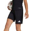 ADIJZ6531-000_5.jpg ADIJZ6531-000_5.jpg