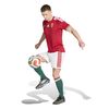 ADIJZ6978-000_3.jpg