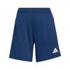 ADIJZ6559-000.jpg ADIJZ6559-000.jpg