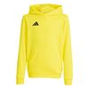 ADIJZ6564-000.jpg ADIJZ6564-000.jpg
