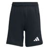 ADIJZ9131-000.jpg ADIJZ9131-000.jpg