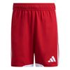 ADIKA6209-000.jpg ADIKA6209-000.jpg
