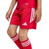 ADIKA8817-000_5.jpg ADIKA8817-000_5.jpg