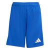 ADIKA8816-000.jpg ADIKA8816-000.jpg