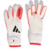 ADIKA7812-000.jpg ADIKA7812-000.jpg