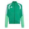 ADIKA7709-000.jpg ADIKA7709-000.jpg