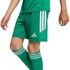 ADIKA8812-000_5.jpg