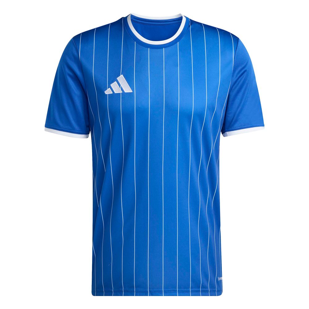 adidas Entrada 26 Gfx Jsy - royblu/white