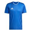 ADIKB3979-000.jpg