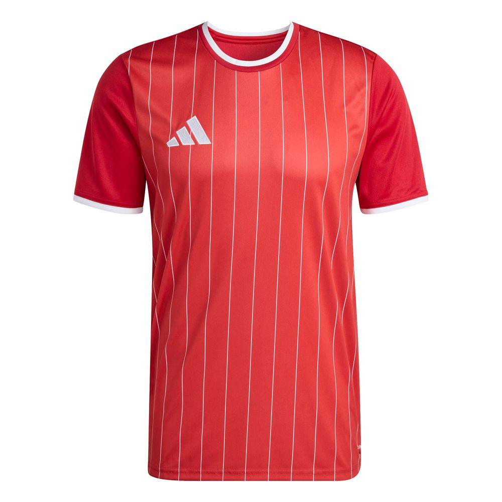 adidas Entrada 26 Gfx Jsy - tepore/white