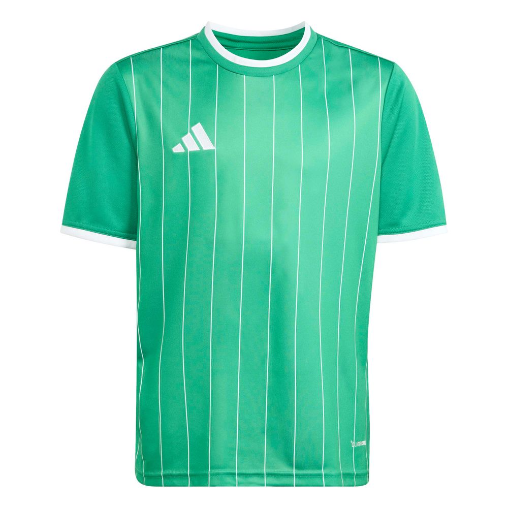 adidas Entrada 26 Gfx Jsy Y Kinder - teagrn/white