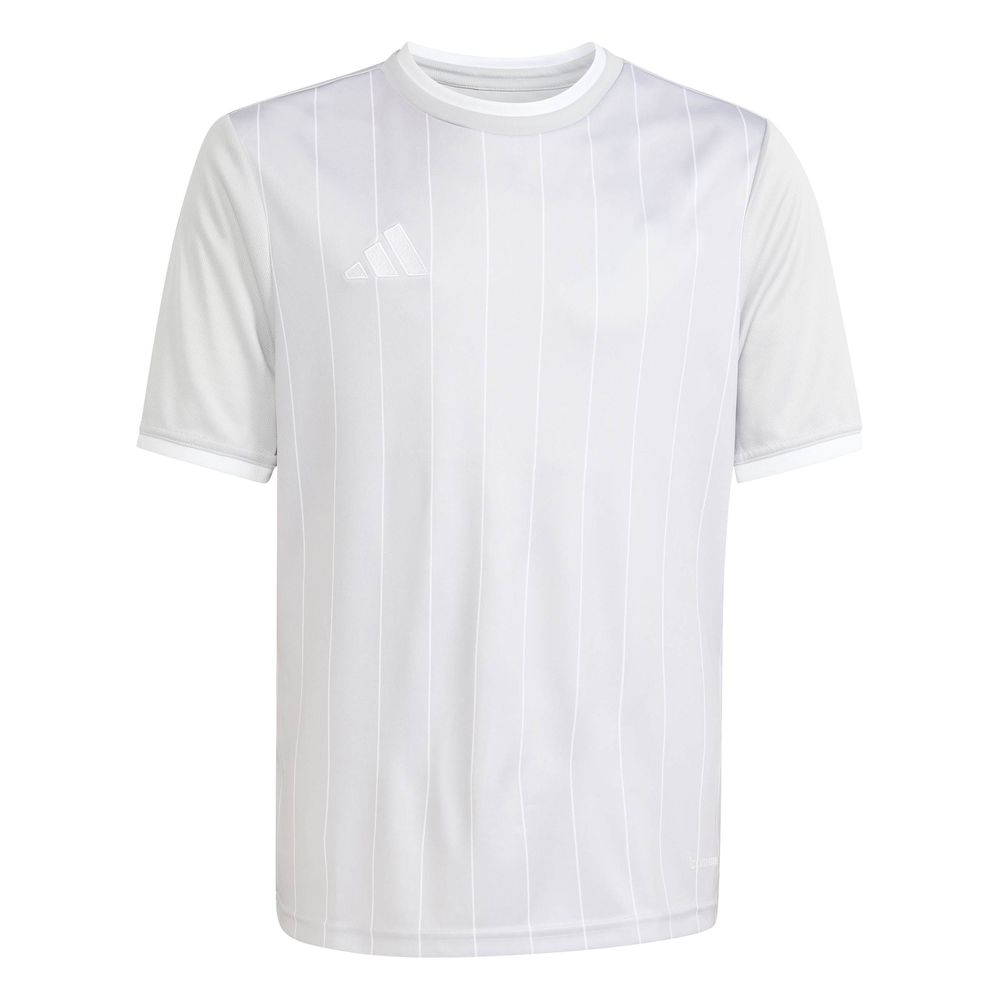 adidas Entrada 26 Gfx Jsy Y Kinder - tmlggr/white
