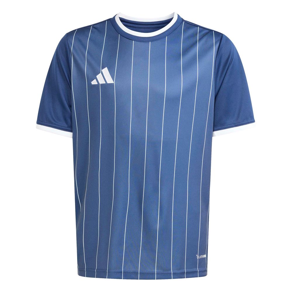 adidas Entrada 26 Gfx Jsy Y Kinder - tenabl/white