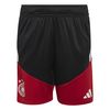 ADIKB4466-000.jpg