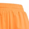 ADIKB9761-000_3.jpg