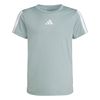 ADIKB6821-000.jpg ADIKB6821-000.jpg