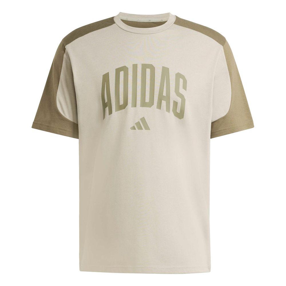 adidas M Collegiate Te - silpeb/olistr