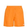 ADIKD3474-000.jpg ADIKD3474-000.jpg