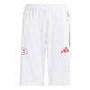 ADIKD6434-000.jpg ADIKD6434-000.jpg