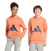 ADIKD8456-000_6.jpg