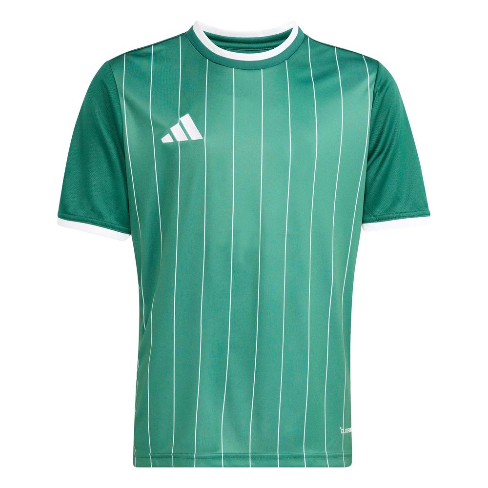 adidas Entrada 26 Gfx Jsy Y Kinder - drkgrn/white