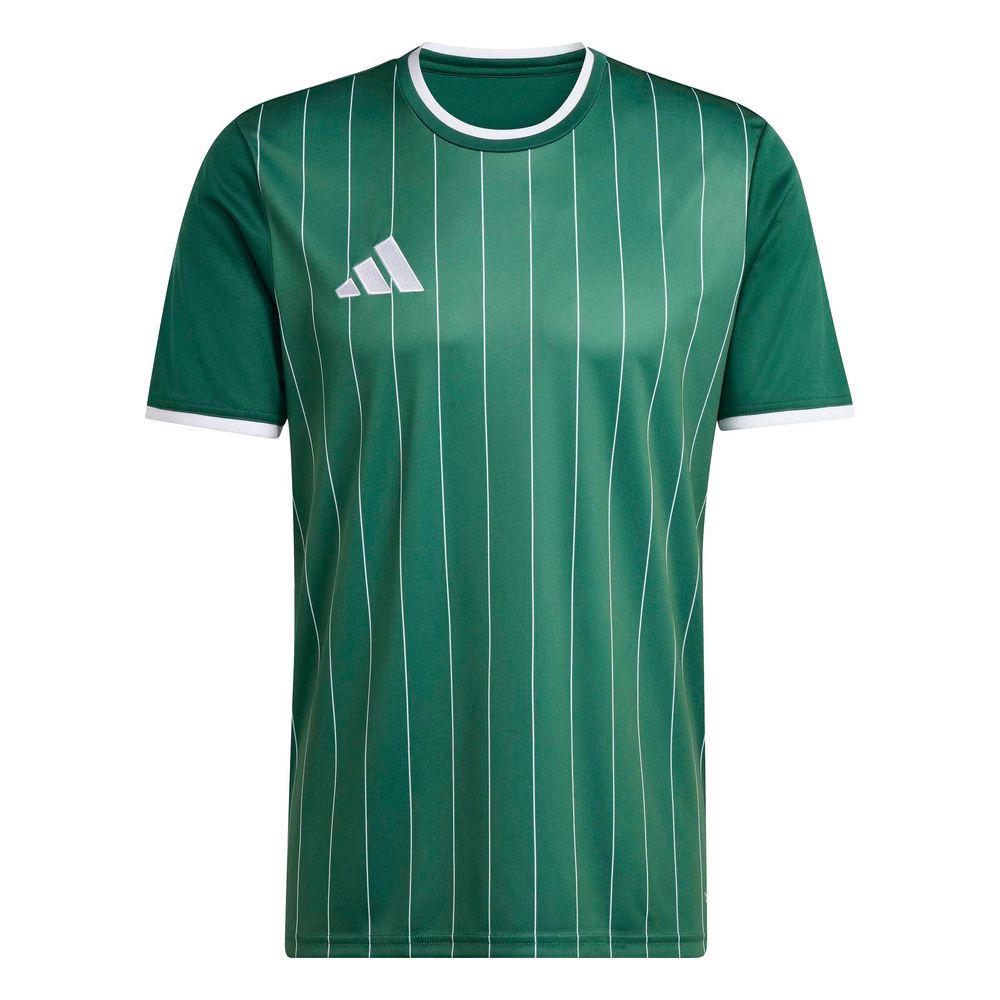 adidas Entrada 26 Gfx Jsy - drkgrn/white