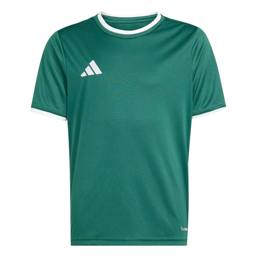 adidas Entrada 26 Jsy Y Kinder - drkgrn/white