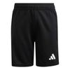 ADIKF5962-000.jpg ADIKF5962-000.jpg