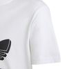 ADIKF9622-000_3.jpg ADIKF9622-000_3.jpg