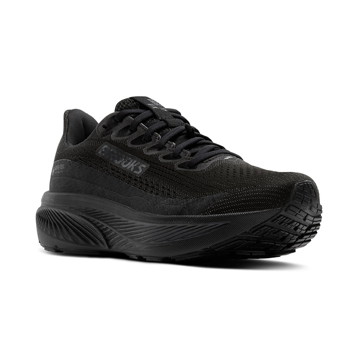 Brooks Ghost 17 GTX - Black/Black/Ebony