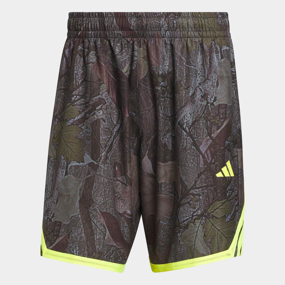 adidas Crazylite Camo - black/sollem