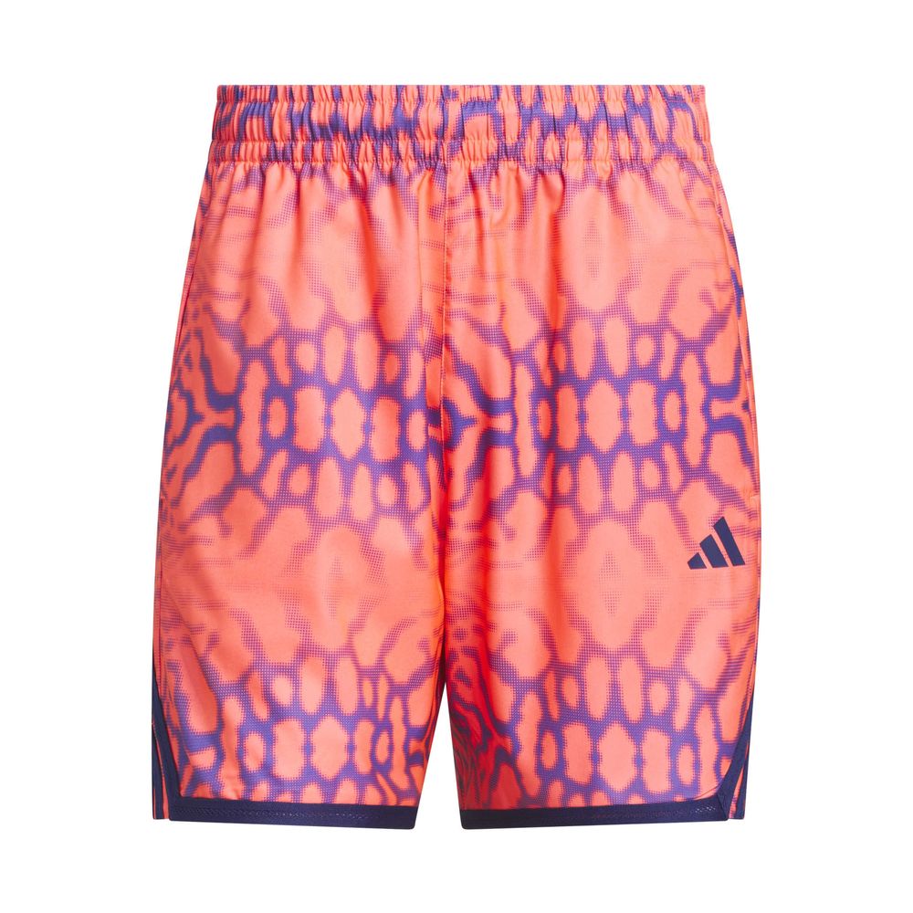 adidas Crazylite Graph - soltur