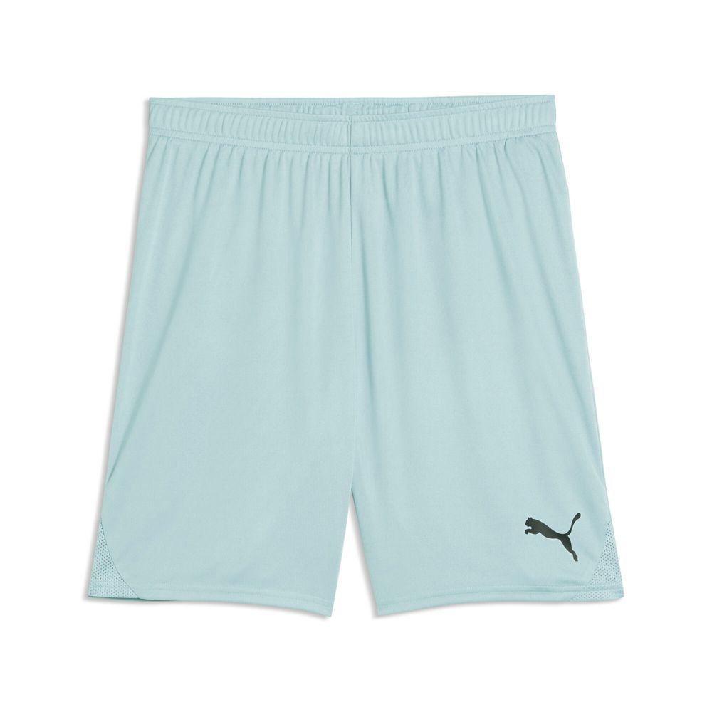 Puma teamGOAL Shorts - Modern Mint
