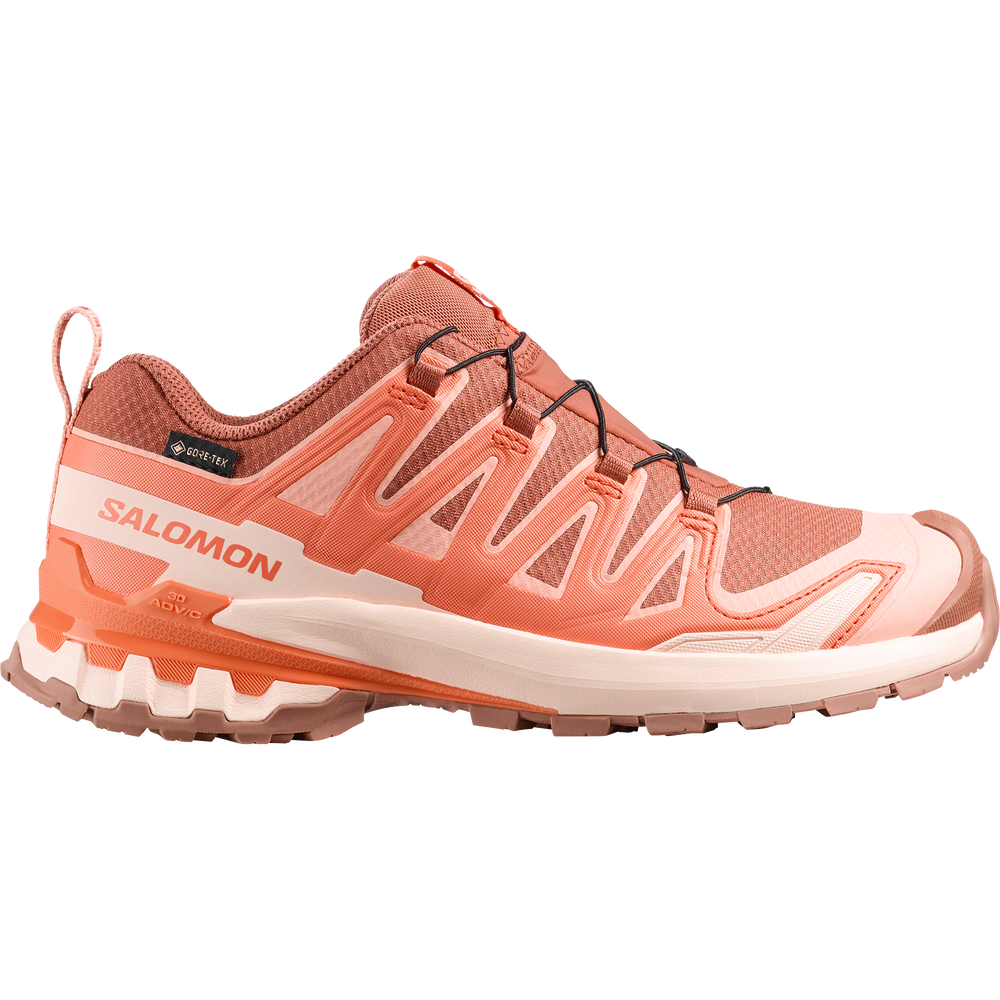 Salomon SHOES XA PRO 3D V9 GTX W Pecan - Pecan Brown/Nectarine/Almond C