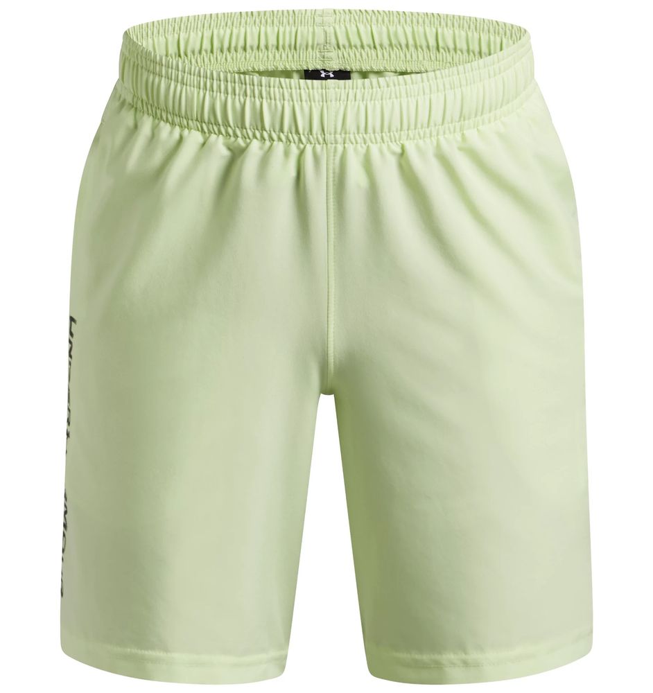 Under Armour Ua Tech Woven Wordmark Short - fade green