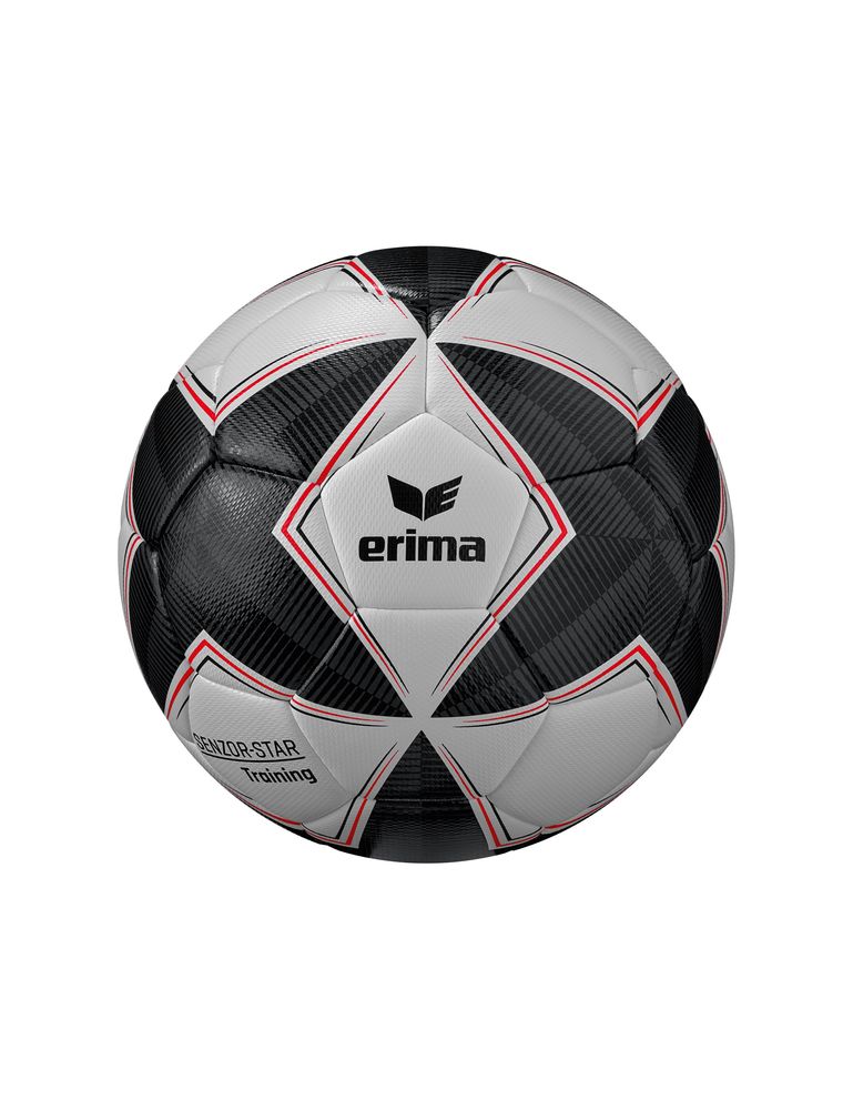 Erima Senzor-Star Training - black/grey