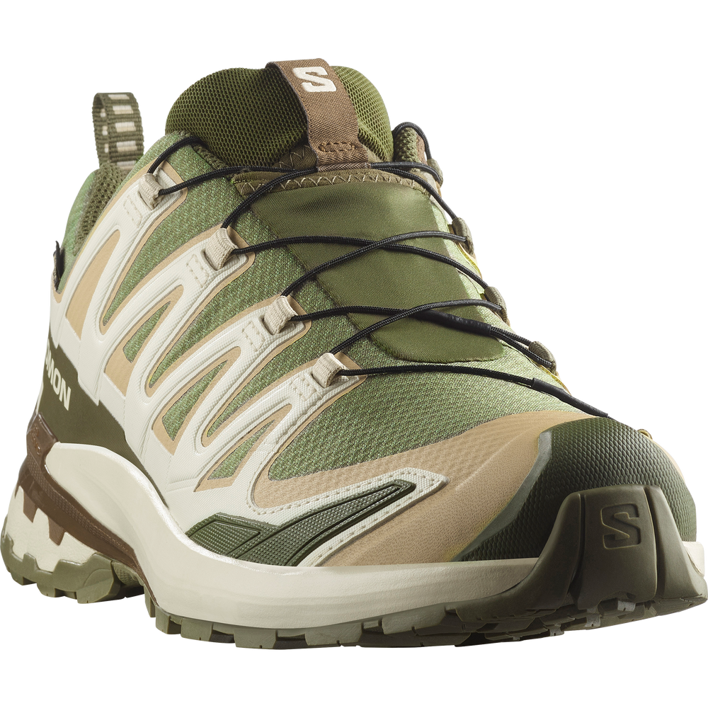 Salomon Shoes Xa Pro 3D V9 Gtx Dlicgr/ - deep lichen green/safari/dark