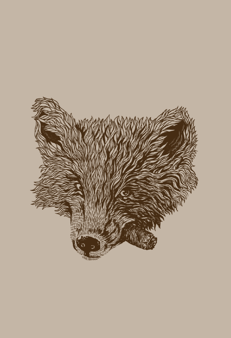 Cyroline-Print-T-Shirt-Smoking-Fox-Smoking-Fox-T-Shirt--Fuchs-Wald-Design-Shirt--Fox-Wildlife-Grafik-Tee--Fuchs-Tier-Motiv-T-Shirt--forest-fox-illustration-tee--natur-tier-print-shirt.webp