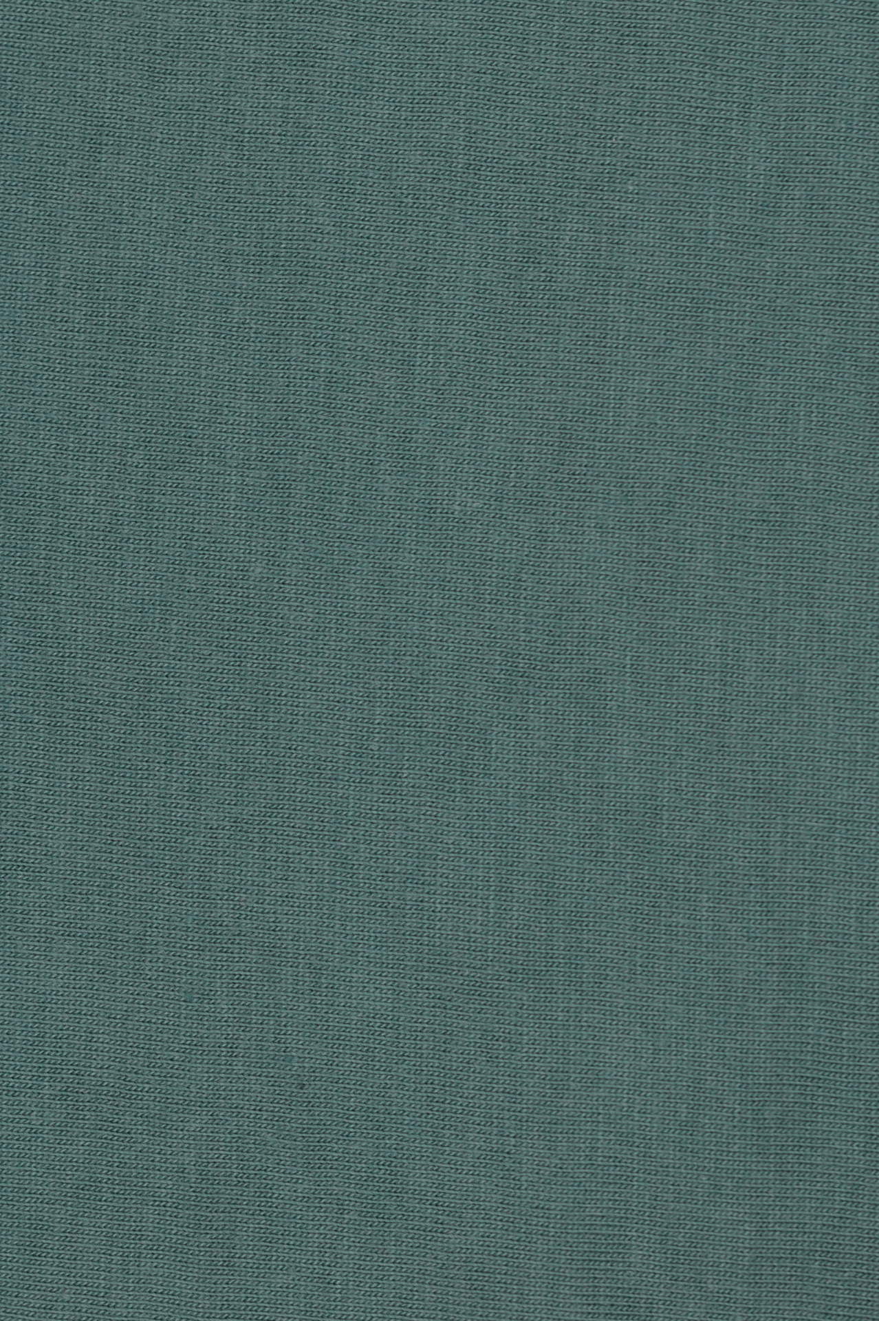 Silverpine