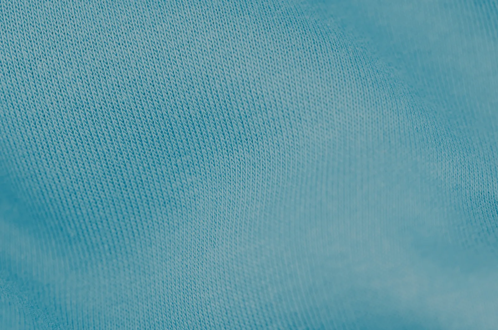Delphimium Blue