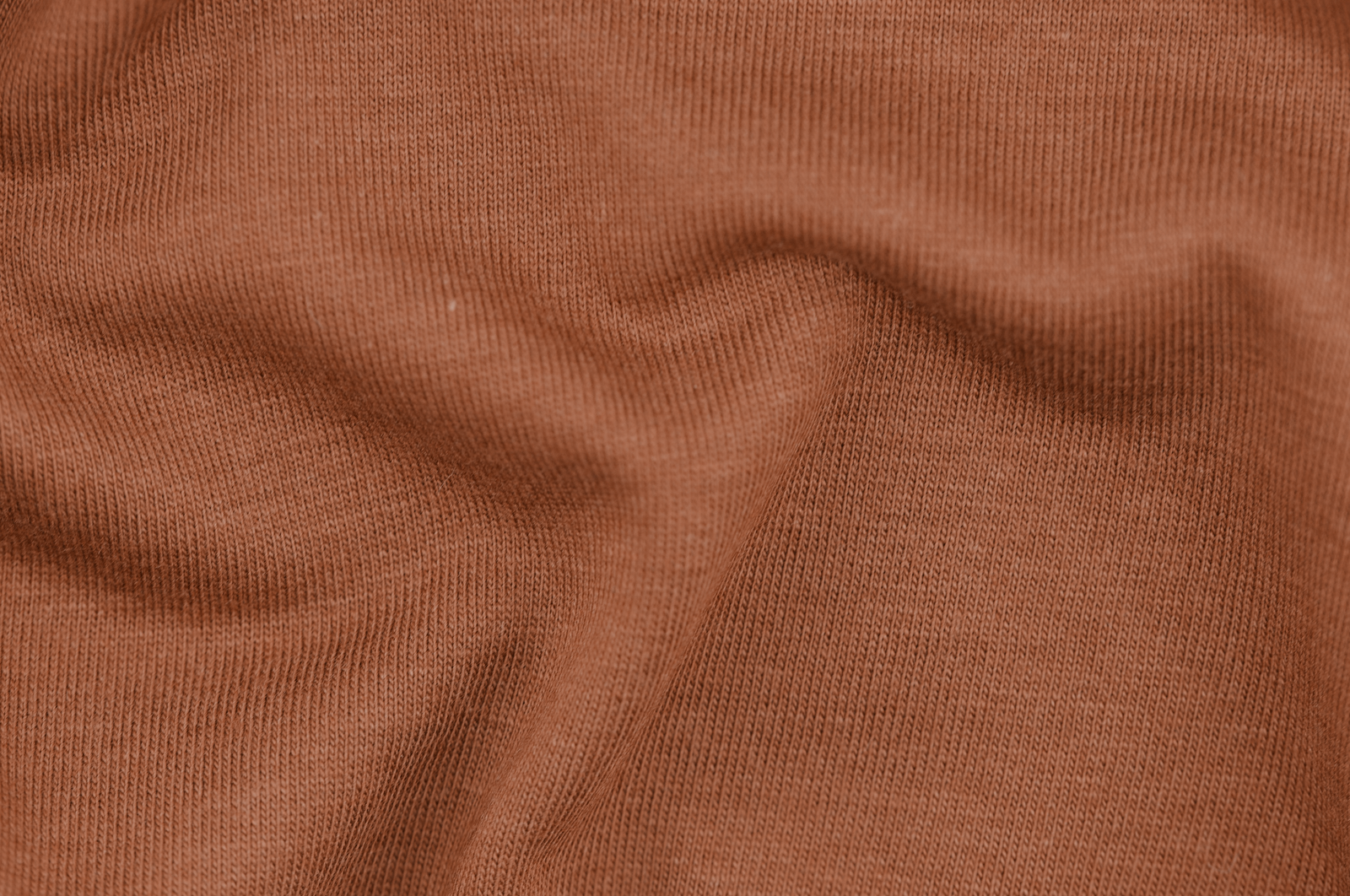 Cinnamon