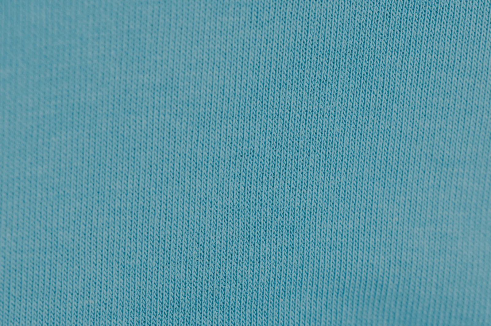 Delphimium Blue