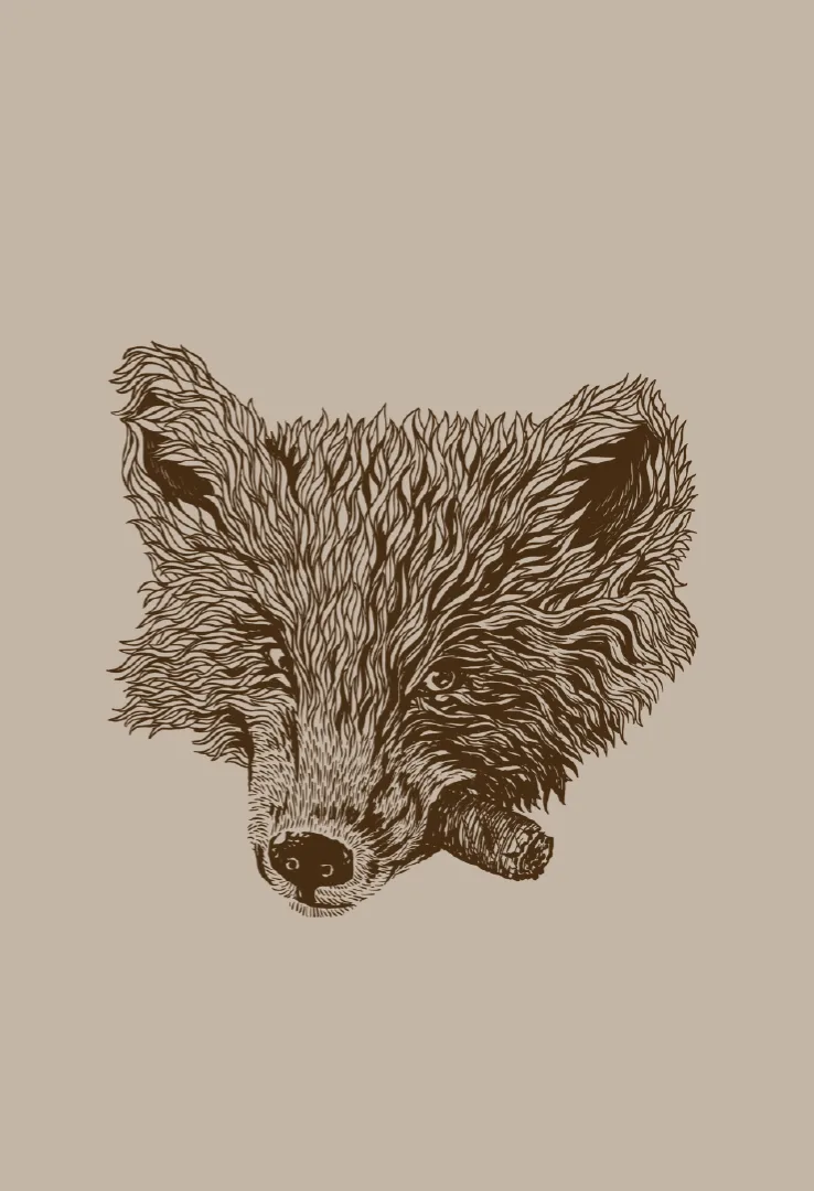 Cyroline-Print-T-Shirt-Smoking-Fox-Smoking-Fox-T-Shirt--Fuchs-Wald-Design-Shirt--Fox-Wildlife-Grafik-Tee--Fuchs-Tier-Motiv-T-Shirt--forest-fox-illustration-tee--natur-tier-print-shirt.webp
