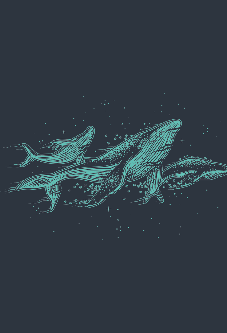 Print T-Shirt Wal Universum