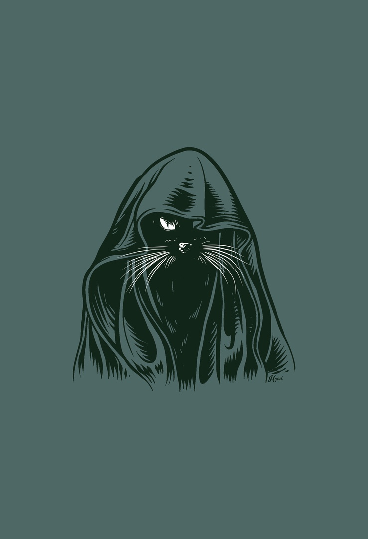 Print-T-Shirt Robin Cat aus Modal und Baumwolle