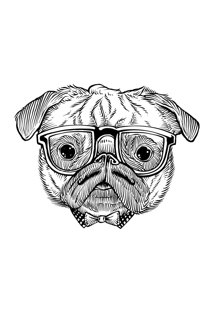 Print-T-Shirt Hipster Mops aus Modal und Baumwolle