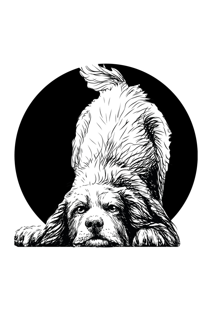 Print-T-Shirt Hund Kreis aus Modal und Baumwolle