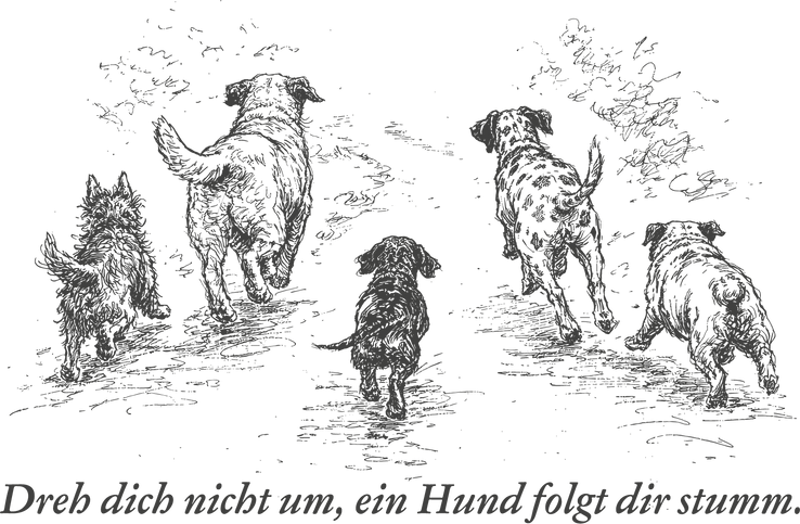 Dreh dich nicht um