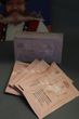 Wella-Color-REnew-Crystal-Powder-5x9-g-Sachets.JPG