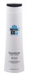 Kis-Royal-Scalp-Cleanditioner-300ml.jpg